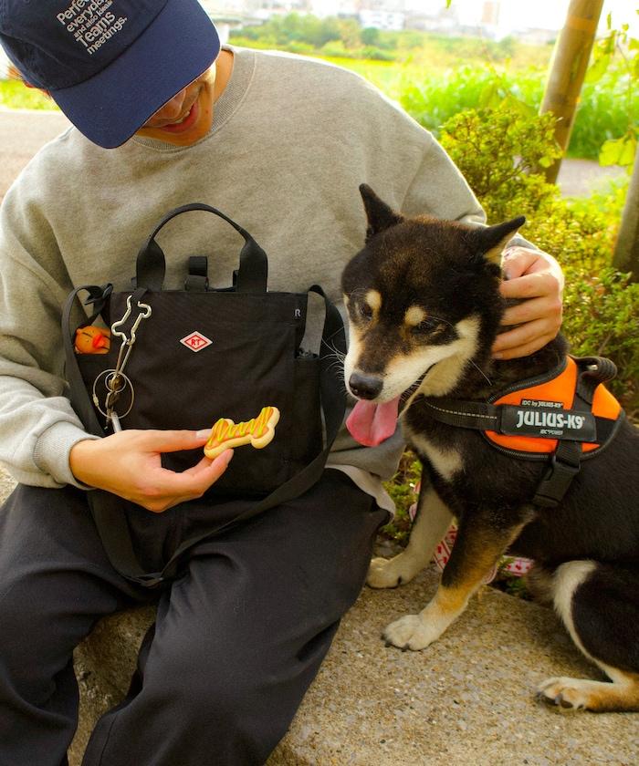 SN.方形.DOG.BUDDY-B