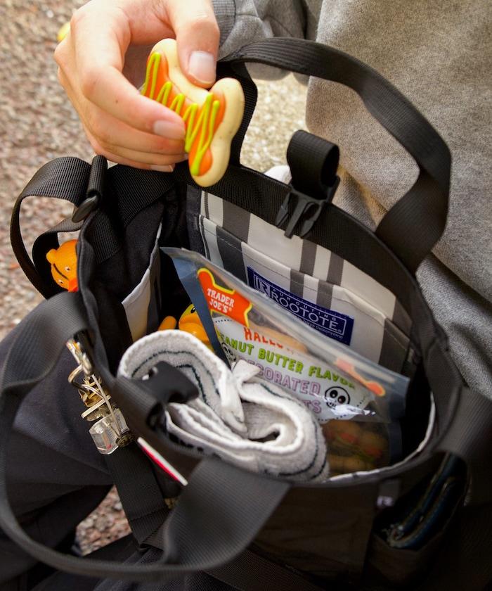 SN.方形.DOG.BUDDY-B