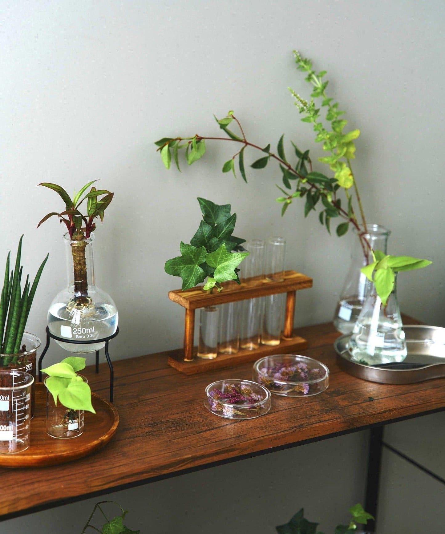 廣口燒瓶：300ml/SCIENCE