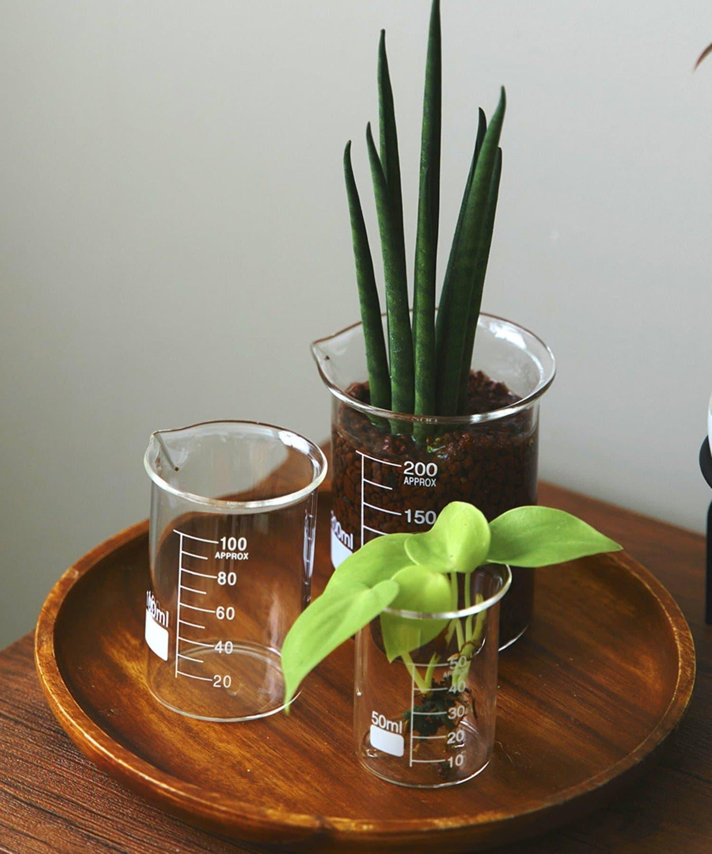 燒杯：100ml/SCIENCE