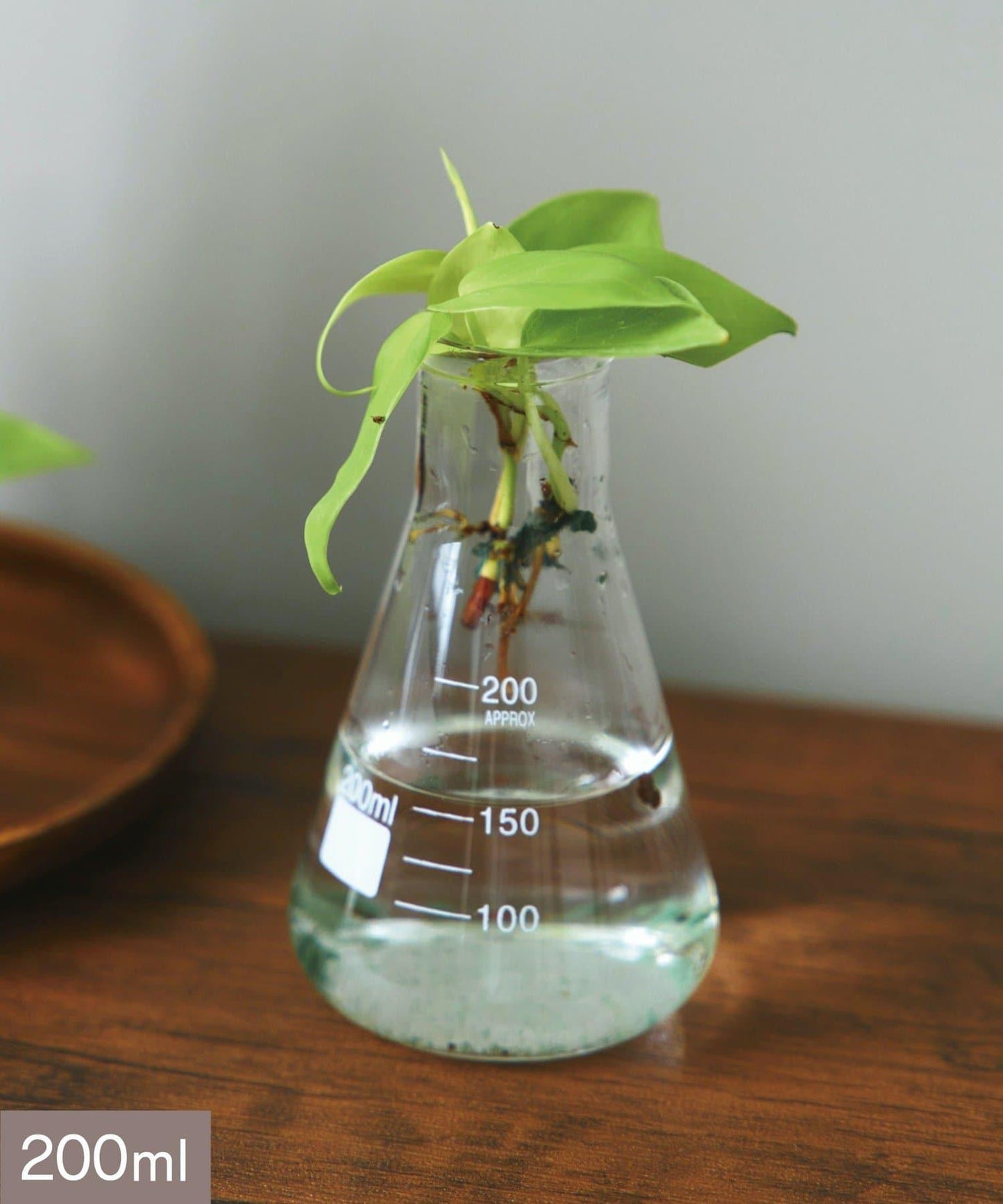 三角燒瓶：200ml/SCIENCE