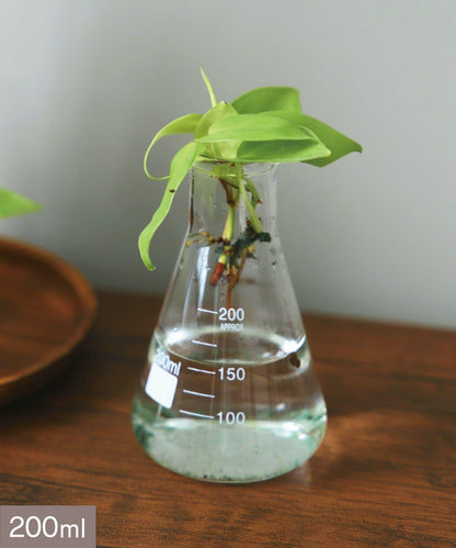 三角燒瓶：200ml/SCIENCE