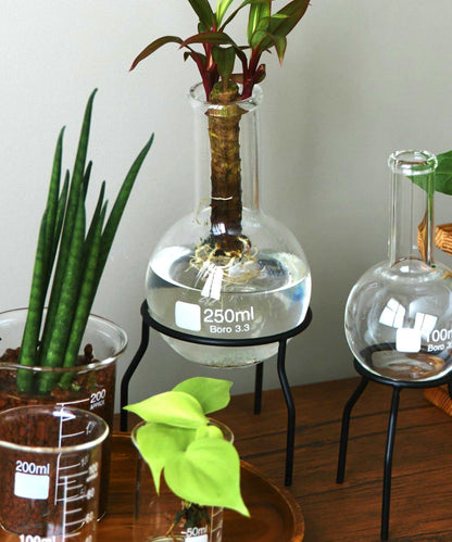 平底燒瓶：250ml/SCIENCE