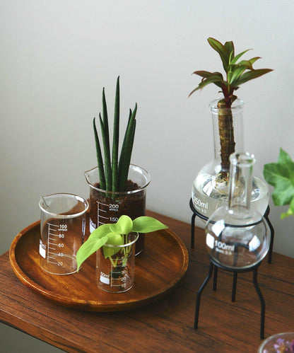 平底燒瓶：250ml/SCIENCE