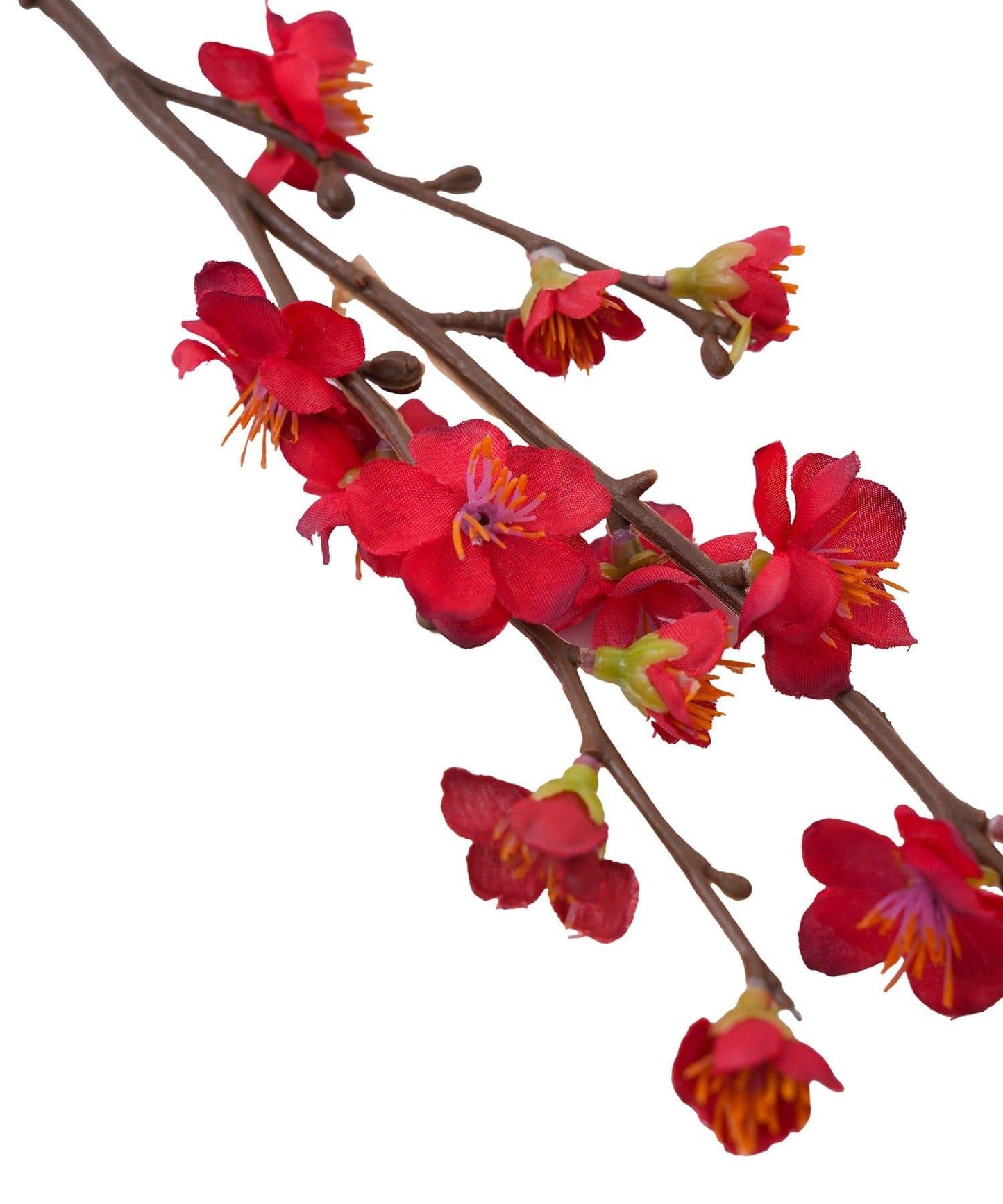 福寿梅/正月のお飾り