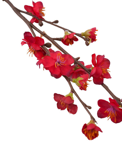 福寿梅/正月のお飾り