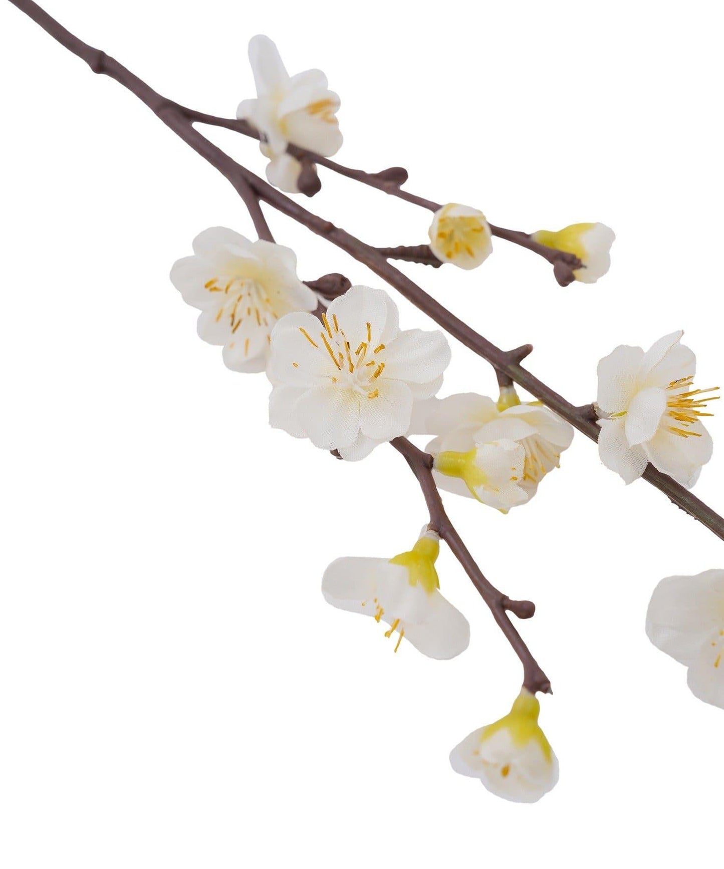 福寿梅/正月のお飾り