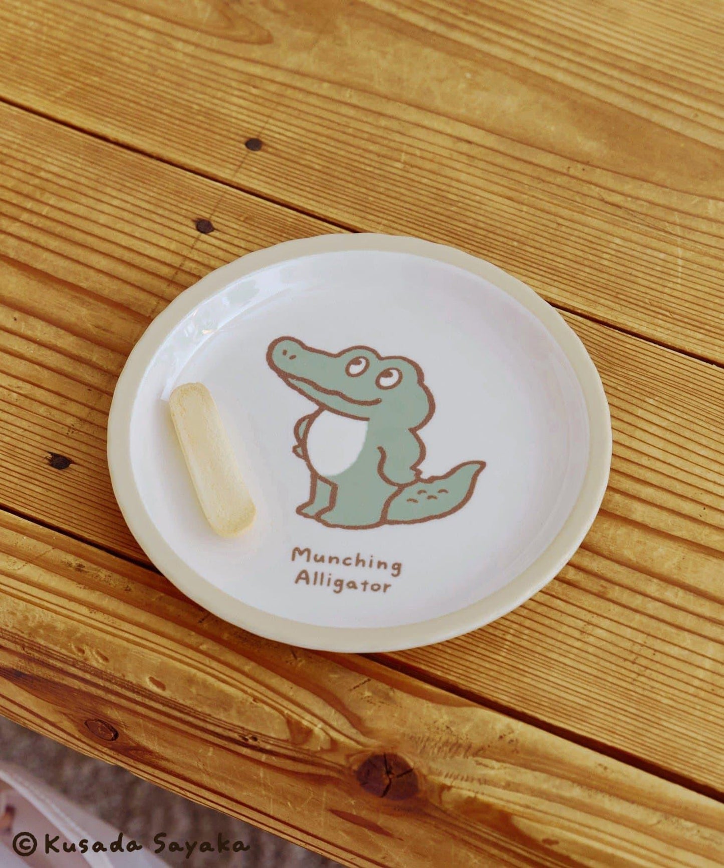 美耐皿/Kusada Sayaka×salut!