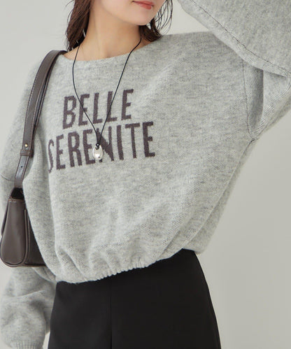 大LOGO抽繩針織衫