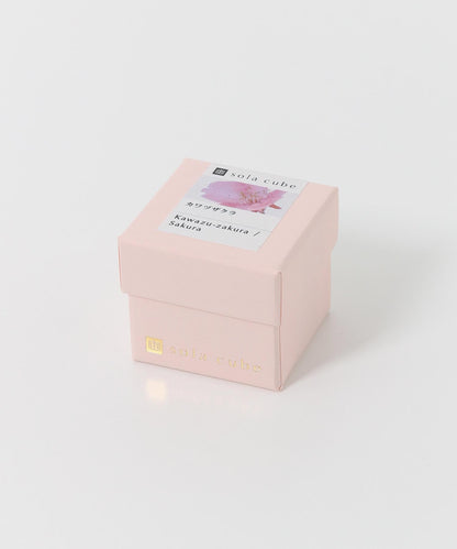 sola 河津櫻