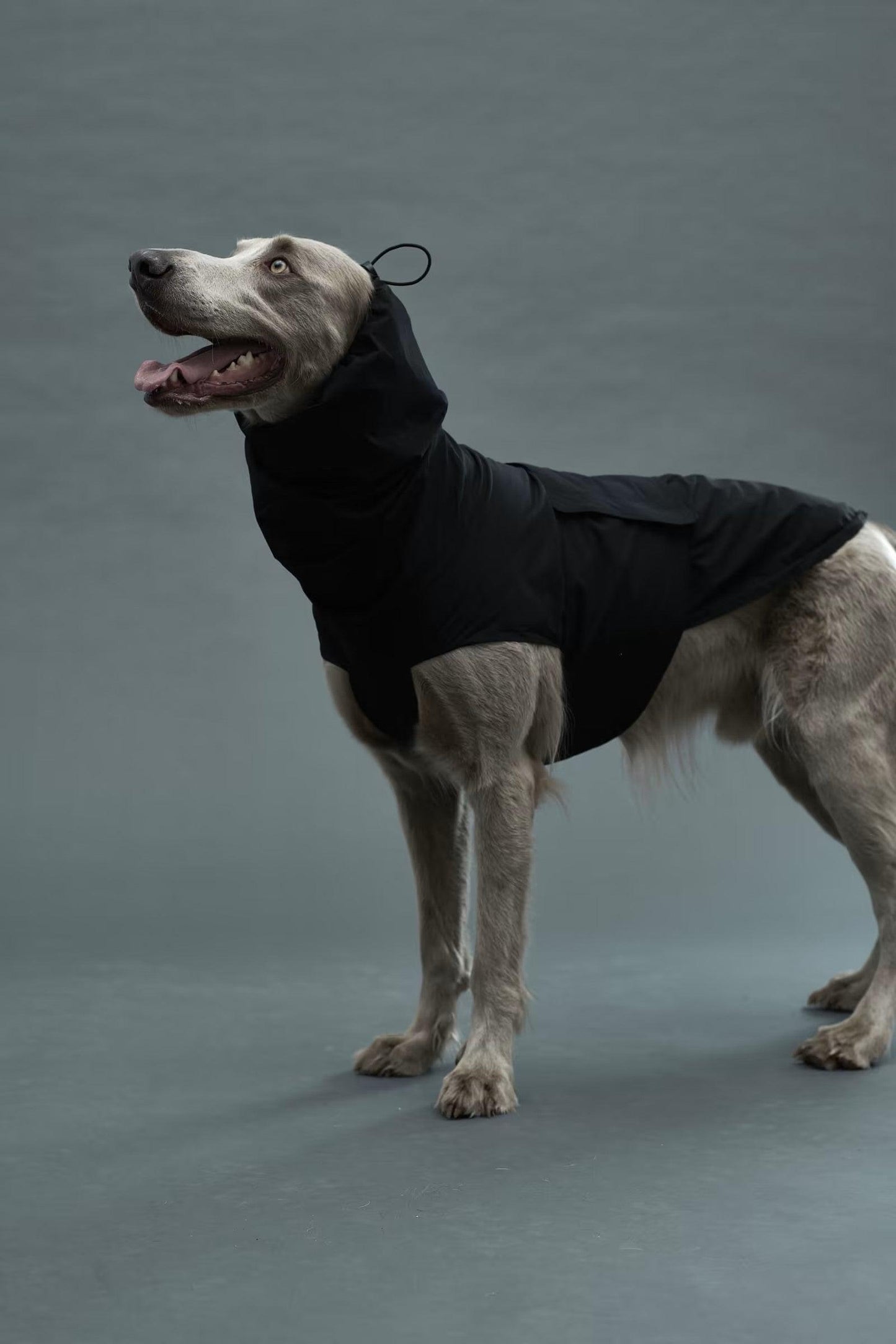 Gris LITE RAIN COAT II 輕薄防水雨衣