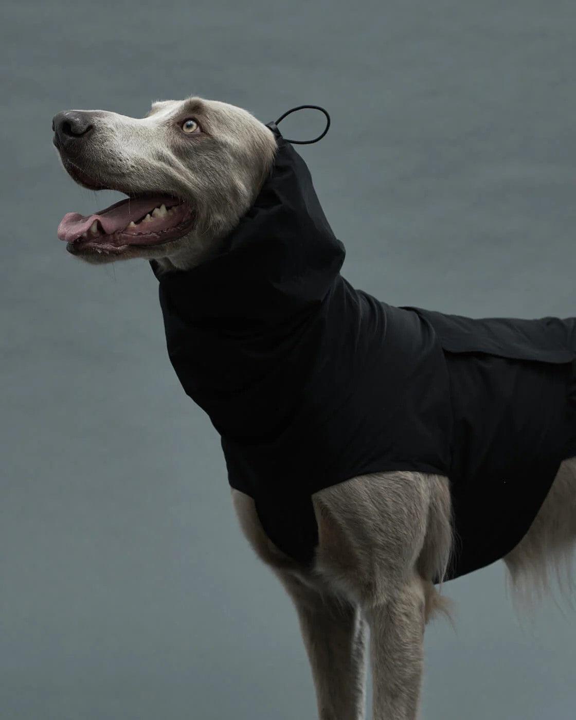 Gris LITE RAIN COAT II 輕薄防水雨衣