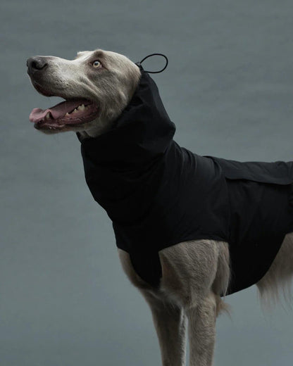 Gris LITE RAIN COAT II 輕薄防水雨衣