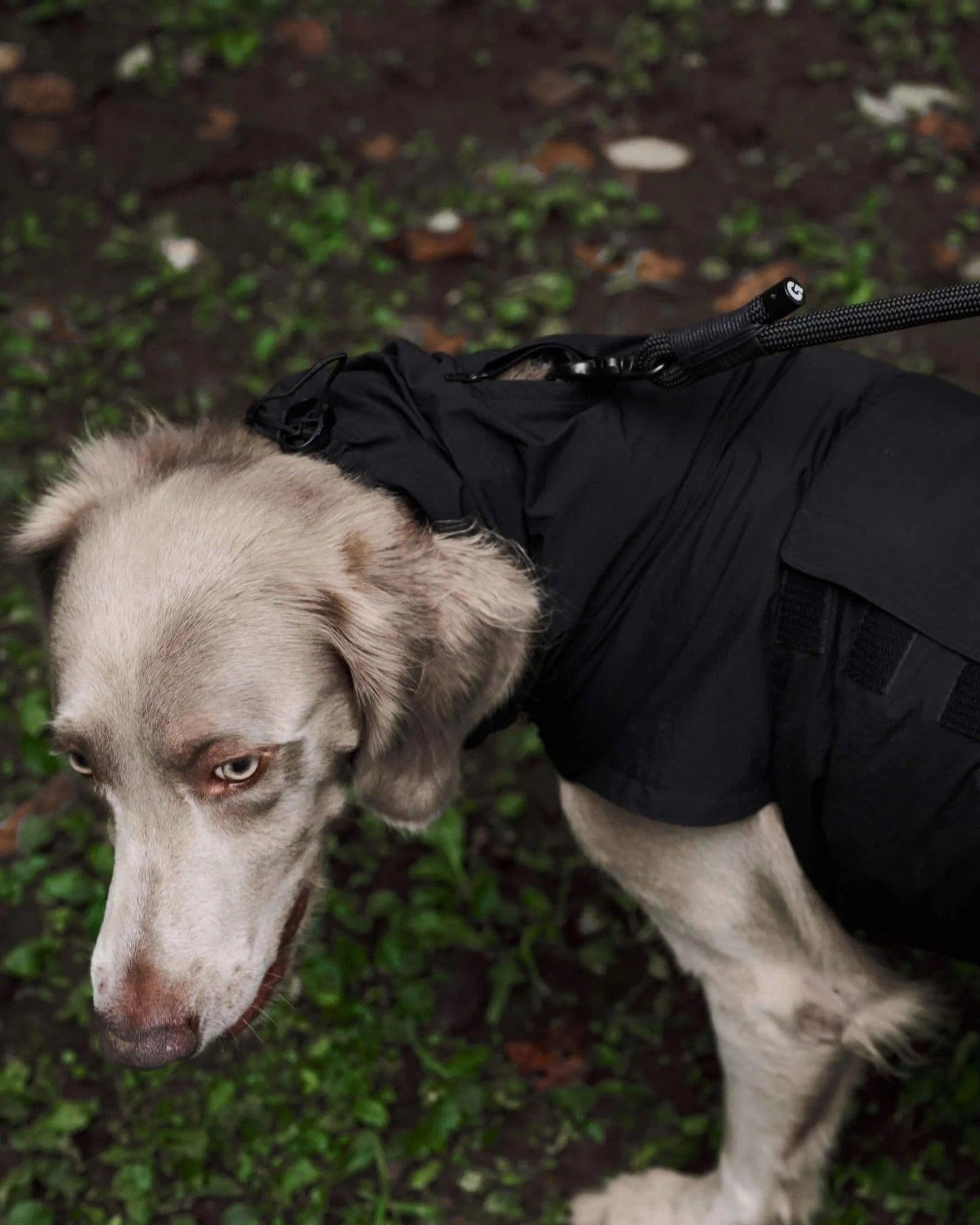 Gris LITE RAIN COAT II 輕薄防水雨衣