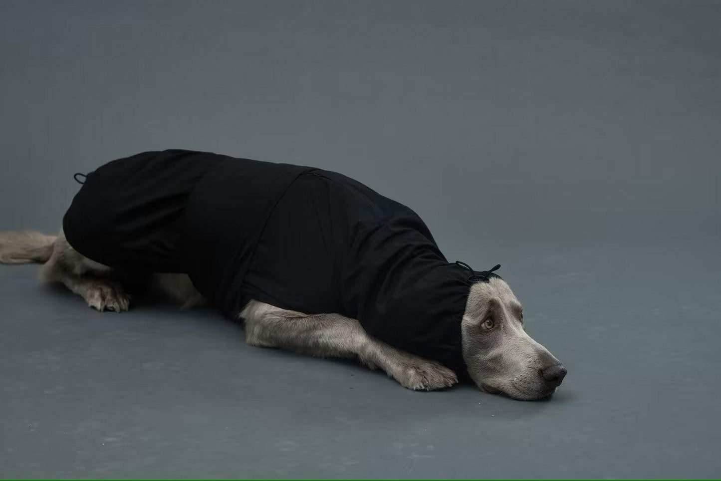 Gris LITE RAIN COAT II 輕薄防水雨衣
