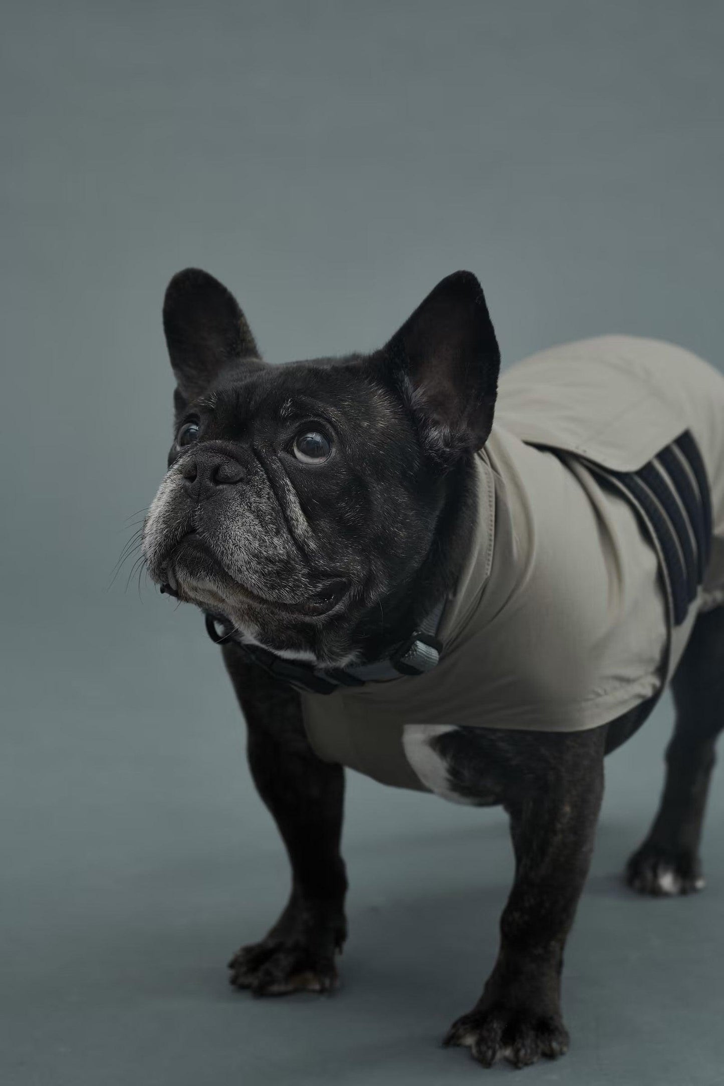 Gris LITE RAIN COAT II 輕薄防水雨衣