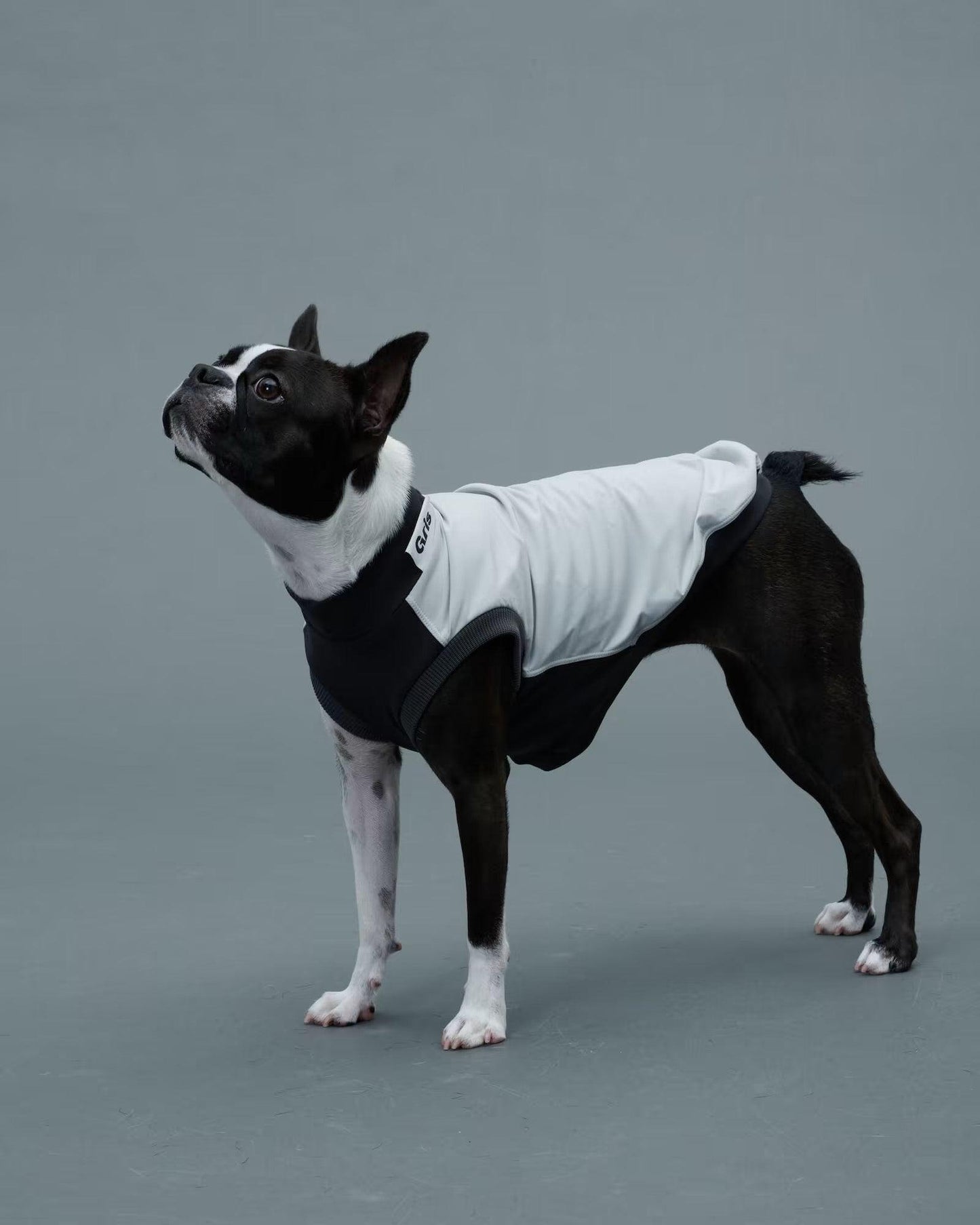 Gris ROB SWEAT衛衣