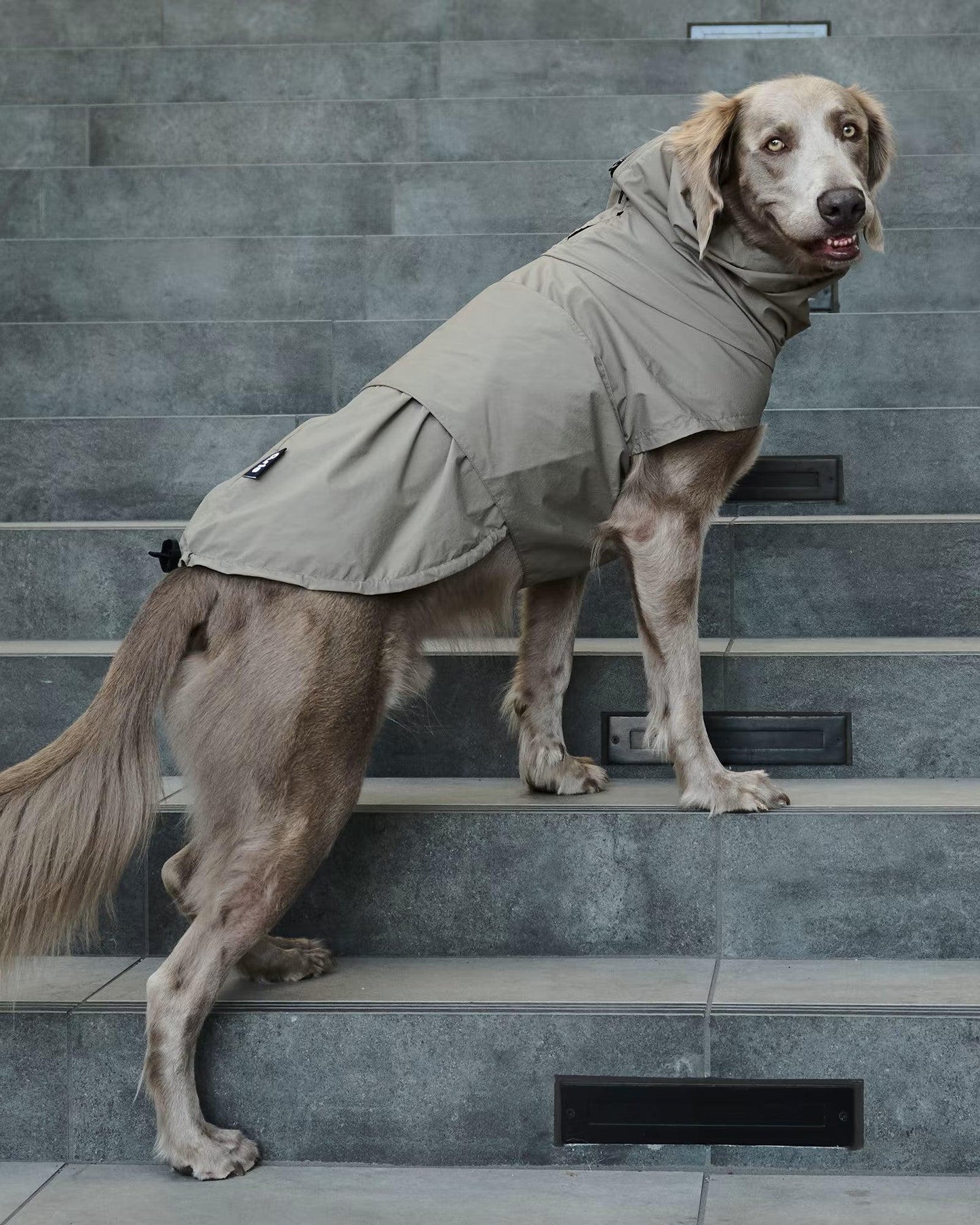 Gris LITE RAIN COAT II 輕薄防水雨衣