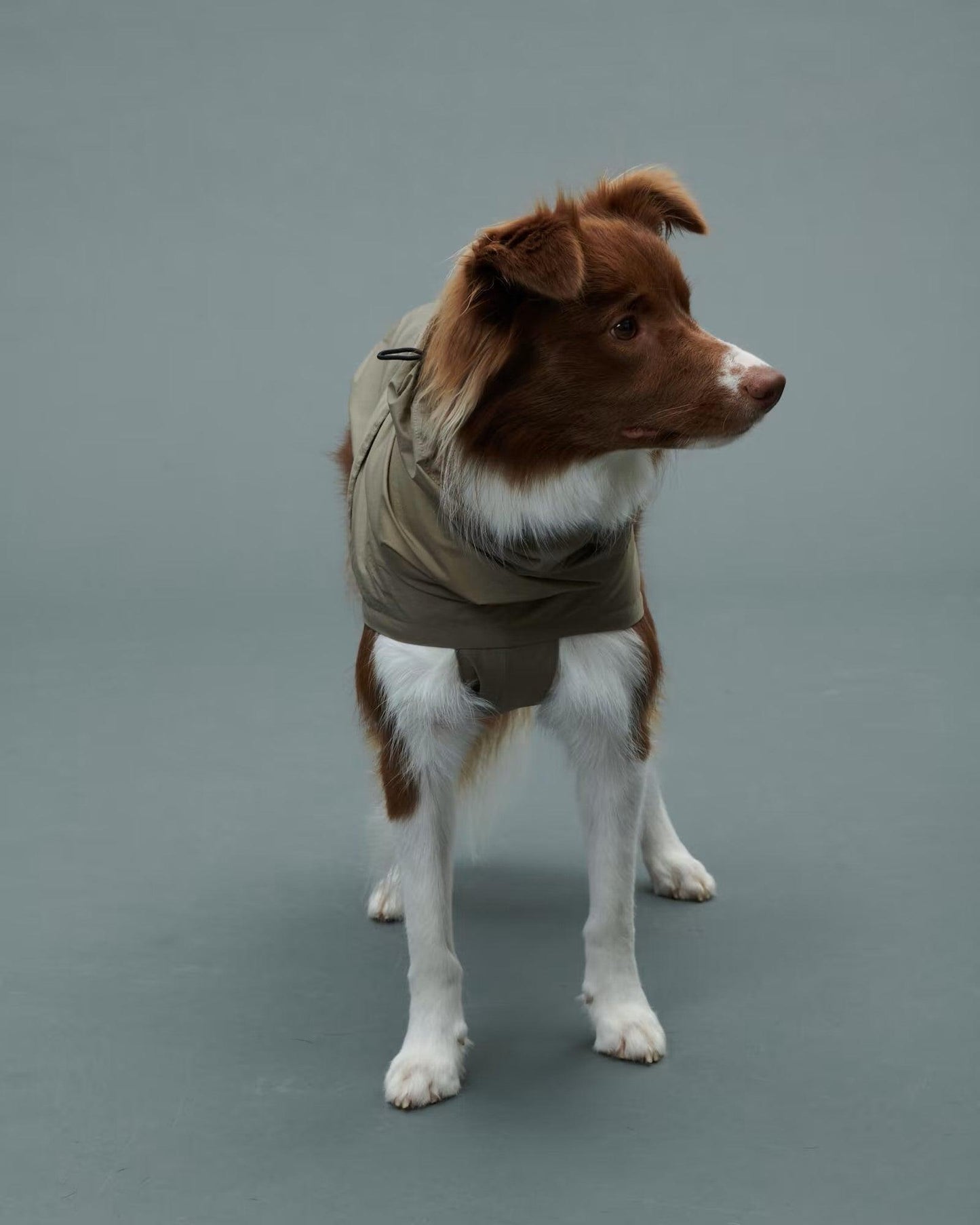 Gris LITE RAIN COAT II 輕薄防水雨衣