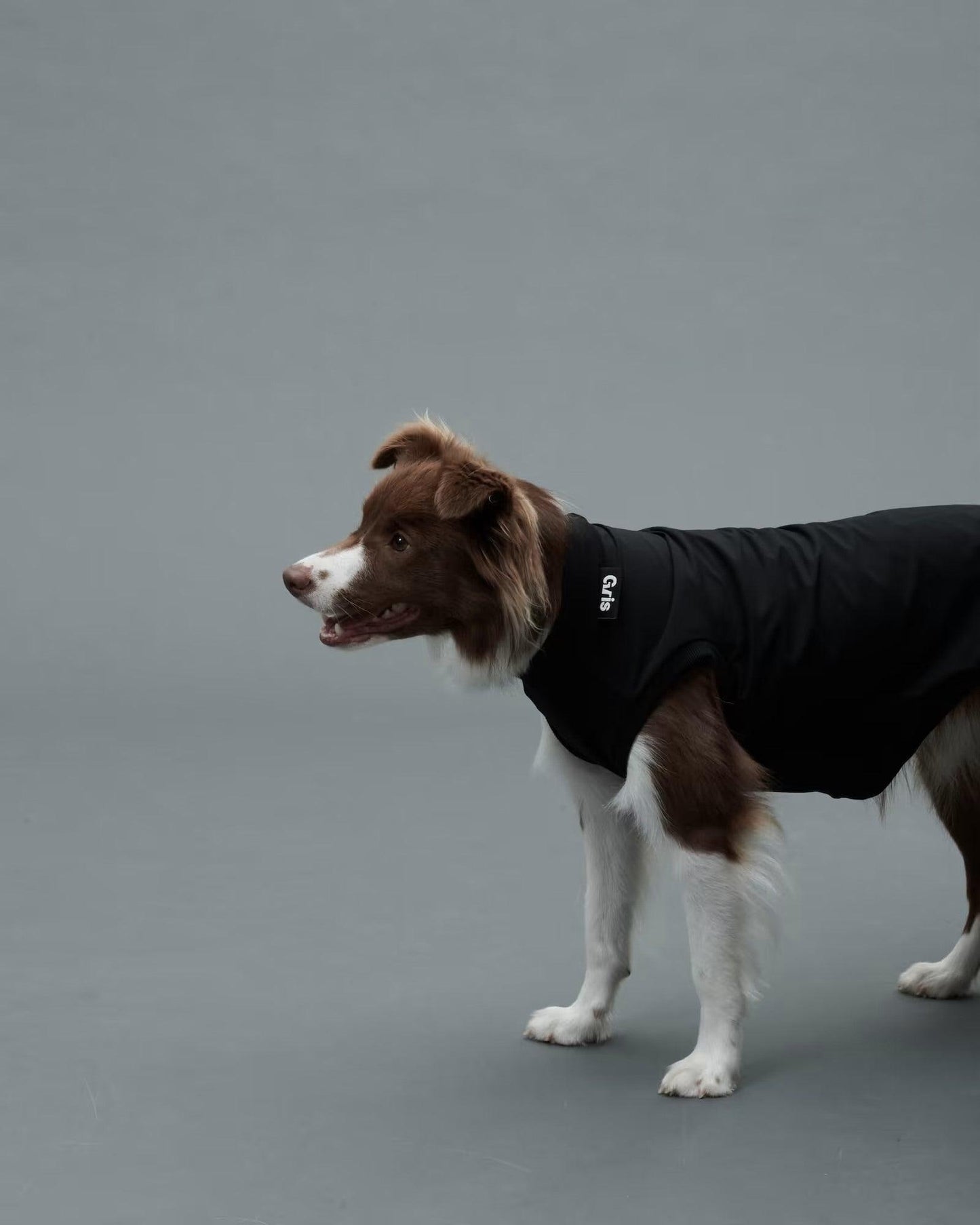 Gris ROB SWEAT衛衣