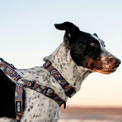 WOLF GANG SandFlats Harness 揹帶