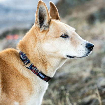 WOLF GANG SandFlats Collar 寵物項圈