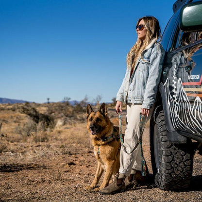 WOLF GANG / WildWolf Leash 狗狗牽引繩