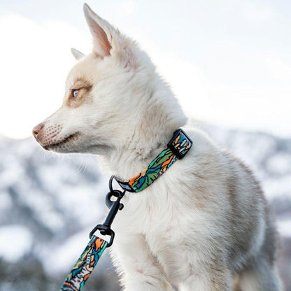 WOLF GANG / WildWolf Collar 寵物項圈