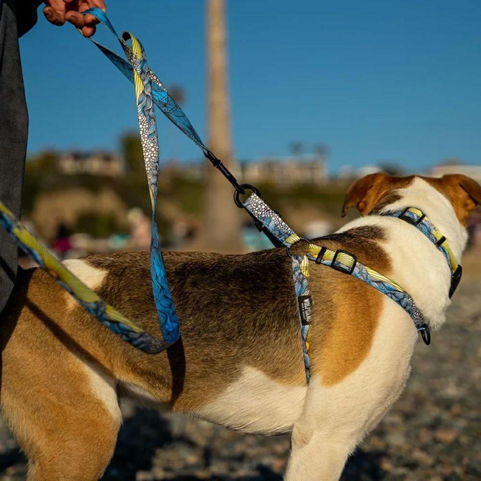 WOLF GANG DawnPatrol Leash 寵物牽引繩