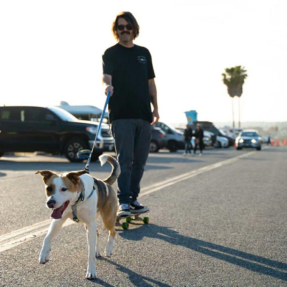 WOLF GANG DawnPatrol Collar 寵物項圈