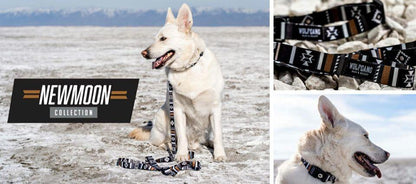 WOLF GANG NewMoon Harness 揹帶