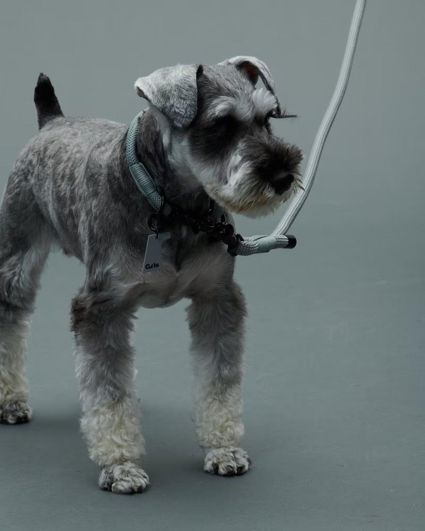 Gris THE LEASH 牽引繩