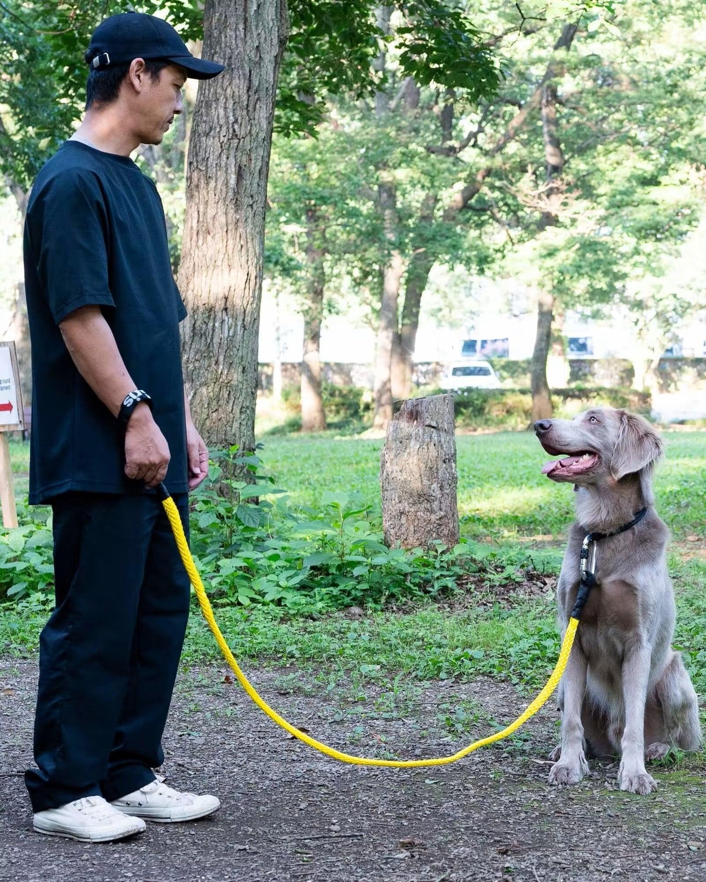 Gris WINCH LEASH 牽引繩