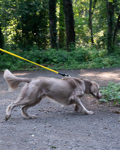 Gris WINCH LEASH 牽引繩