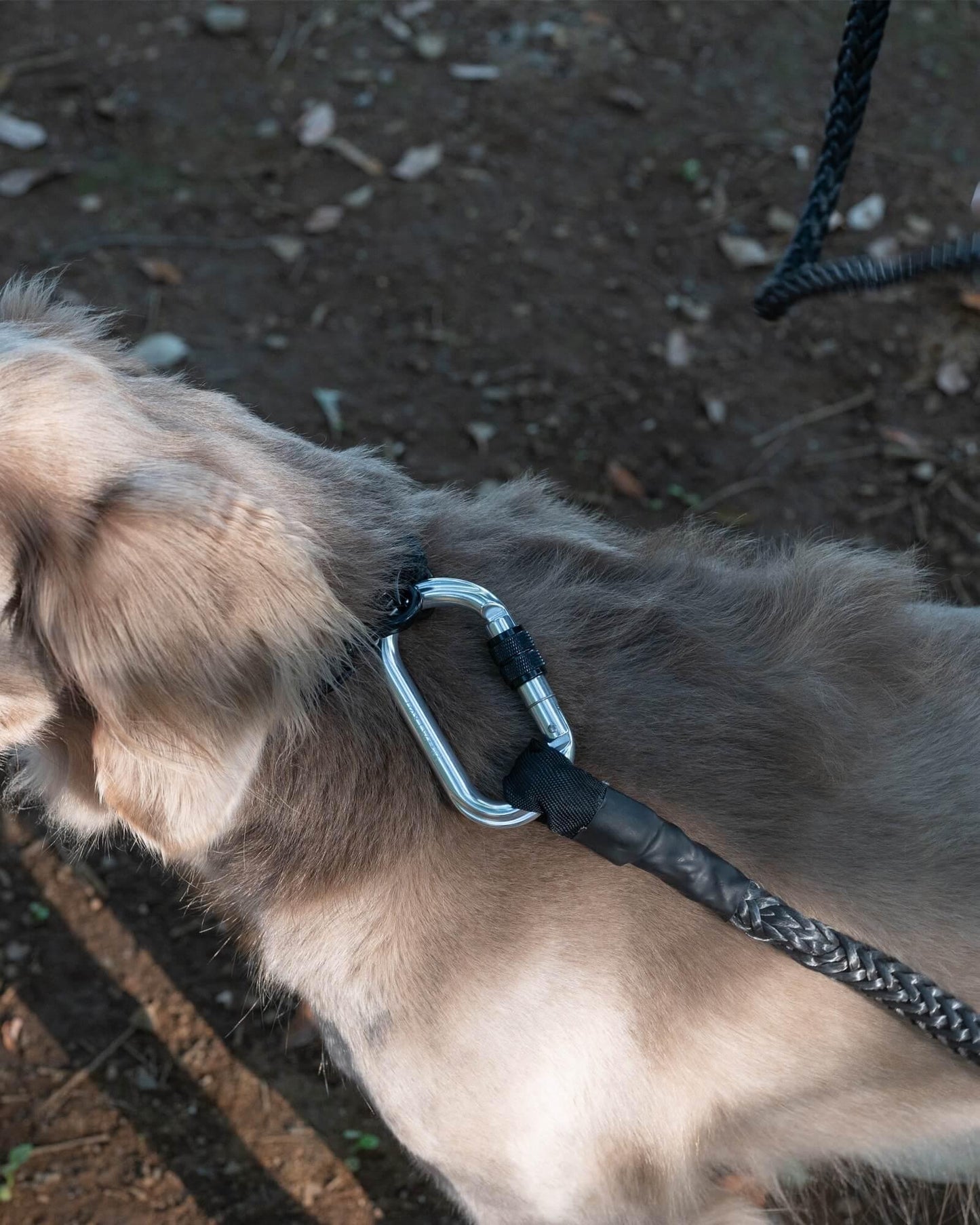 Gris WINCH LEASH 牽引繩