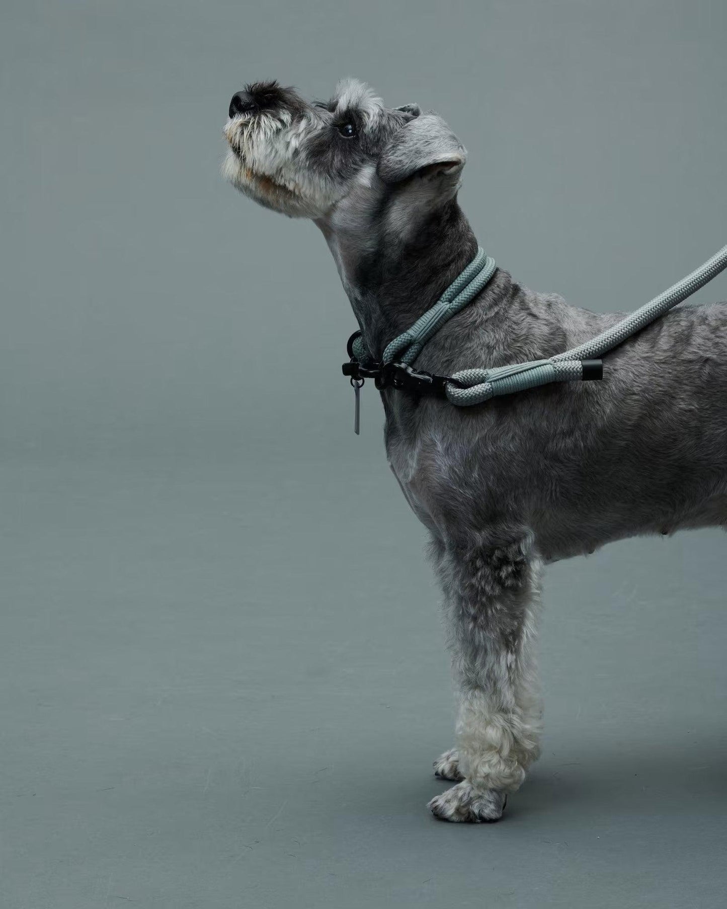 Gris THE LEASH 牽引繩