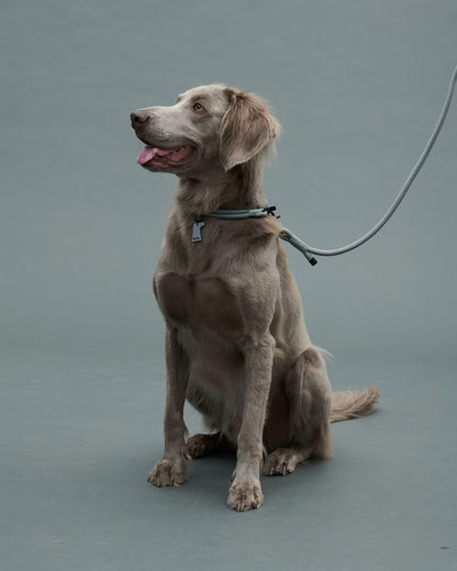 Gris THE LEASH 牽引繩