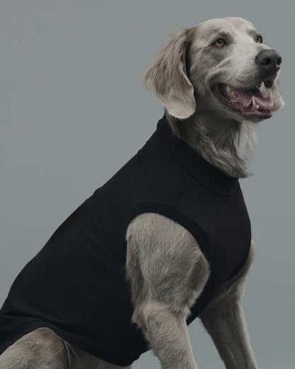 Gris ROB SWEAT衛衣