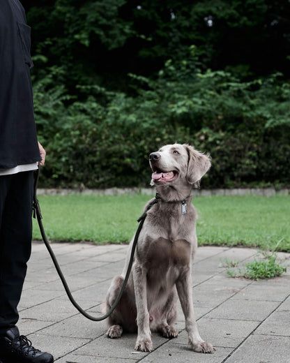 Gris THE LEASH 牽引繩