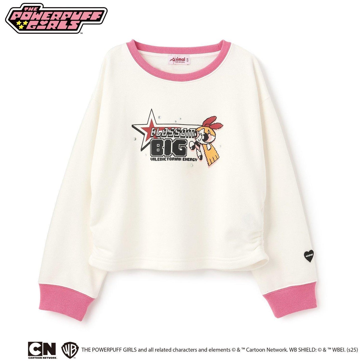 【防汙加工】【飛天小女警】混合角色衛衣
