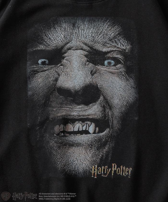 Harry Potter /《哈利·波特》 格雷伯克圓領衛衣