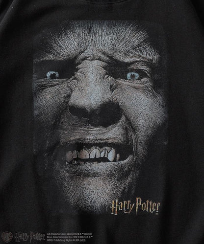 Harry Potter /《哈利·波特》 格雷伯克圓領衛衣