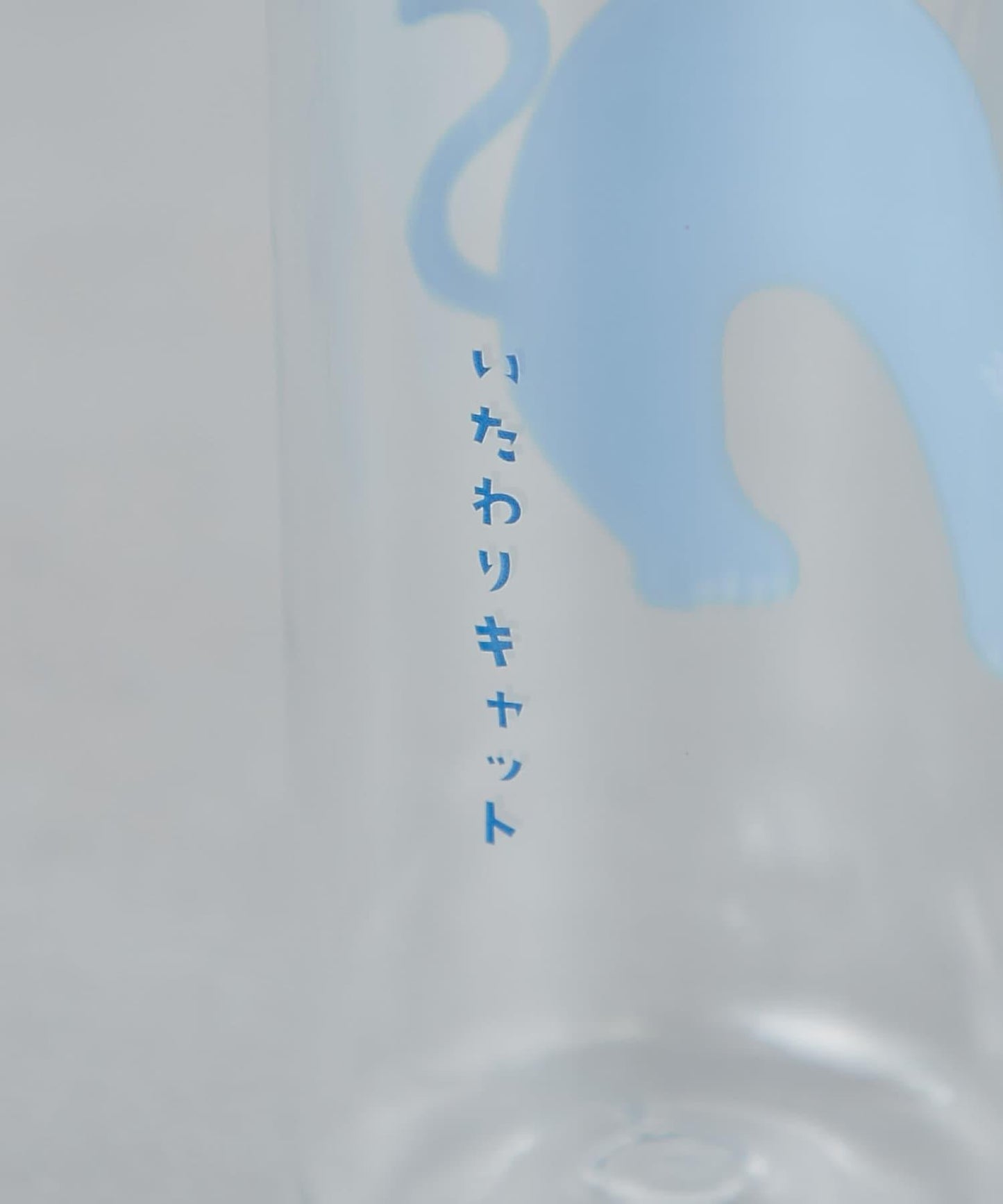 いたわり貓 透明水瓶