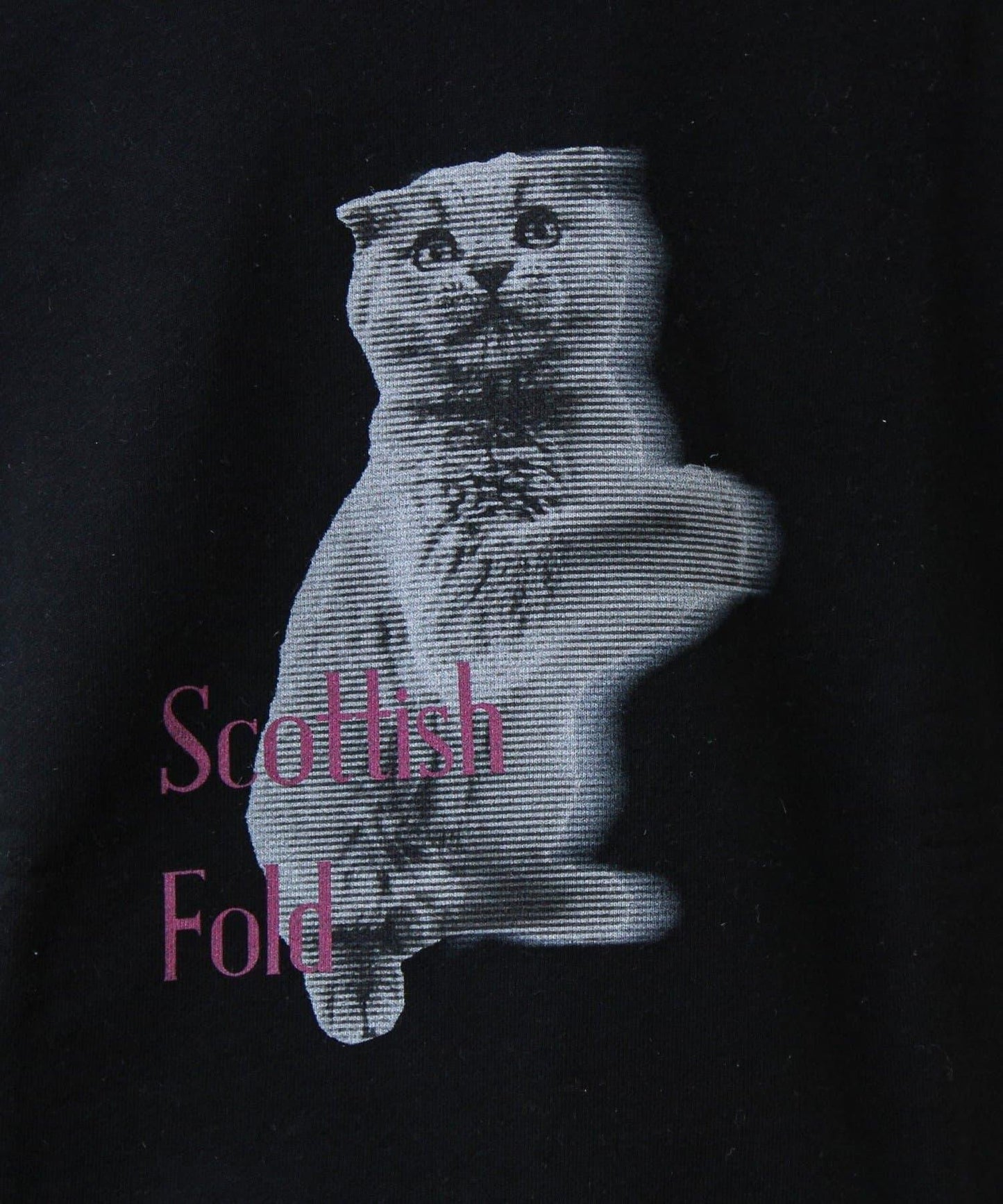 【MY PET】圓領印花衛衣