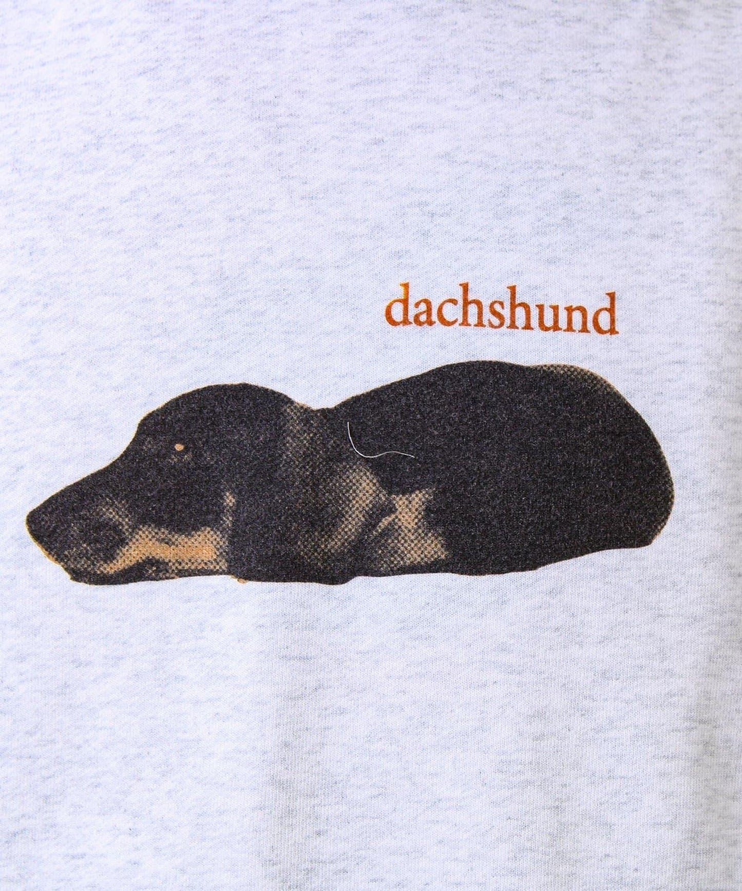 【MY PET】圓領印花衛衣