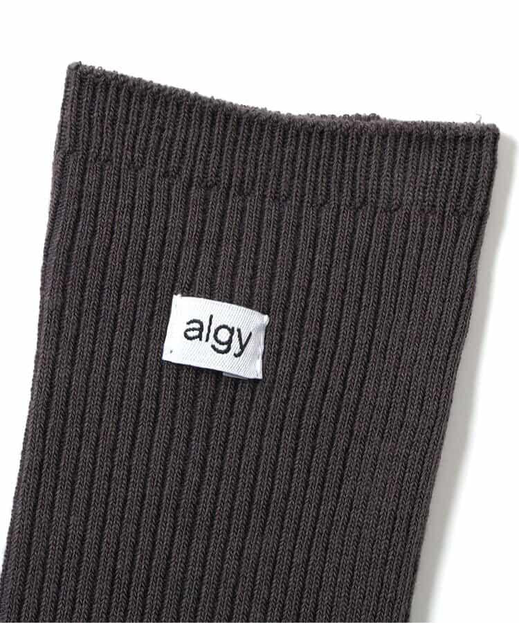 algy字母高筒襪