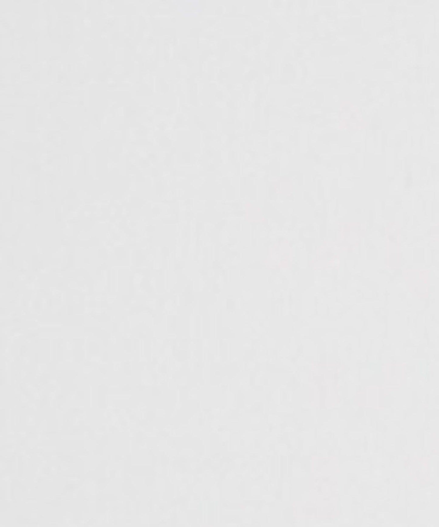 premiumorder 網紗口袋 迷你波士頓包