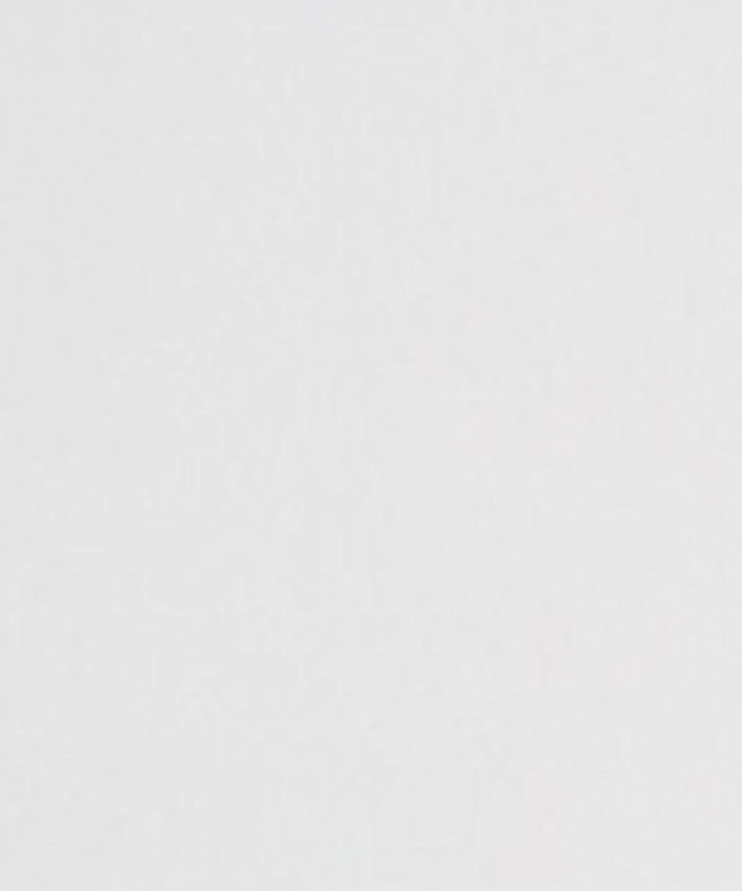 premiumorder 網紗口袋 迷你波士頓包