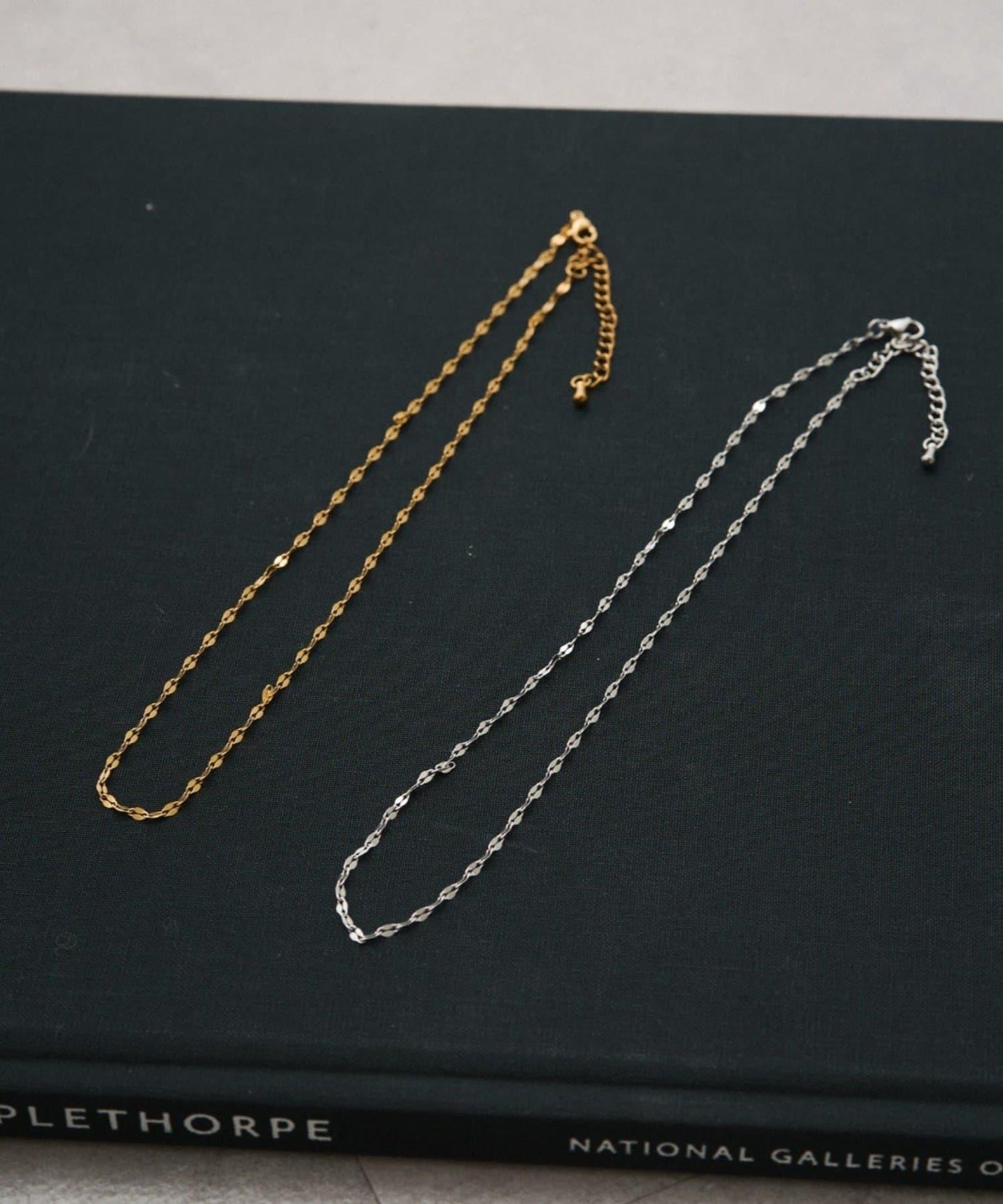 《金屬アレルギー対応/ステンレス》 GALENA/ガレナ 細鏈項鍊