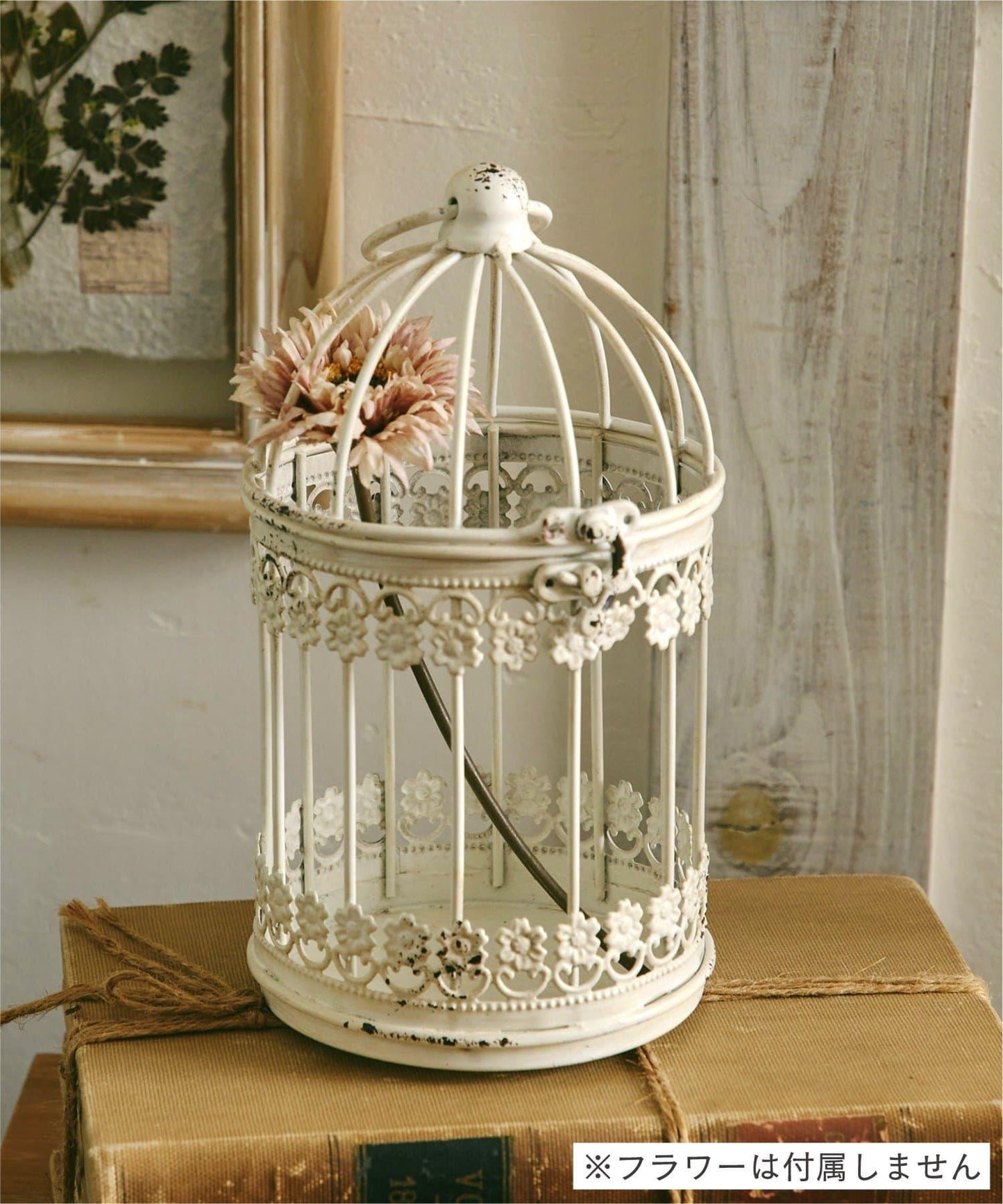 鳥籠 vieille beauté